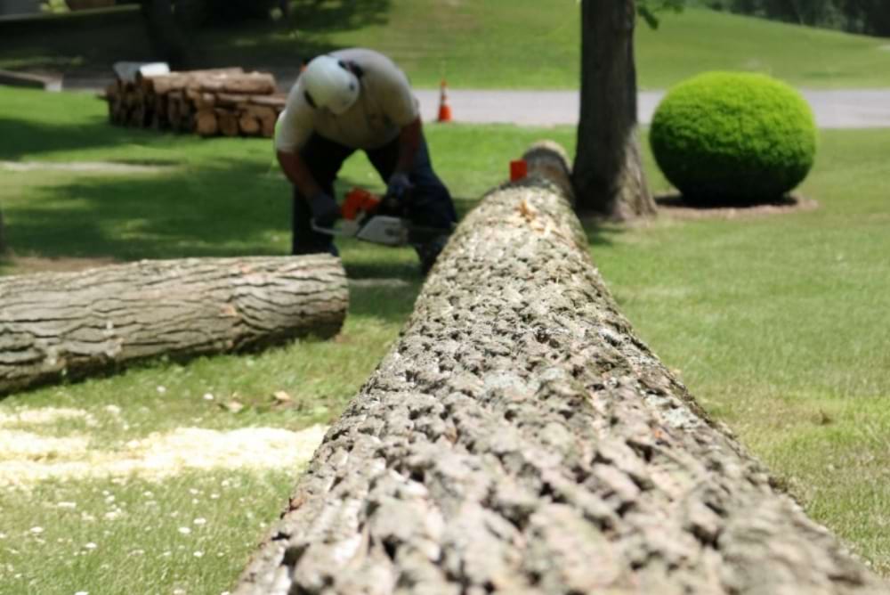 Man removing unwanted tree using spacers, with a pile of wood behind him