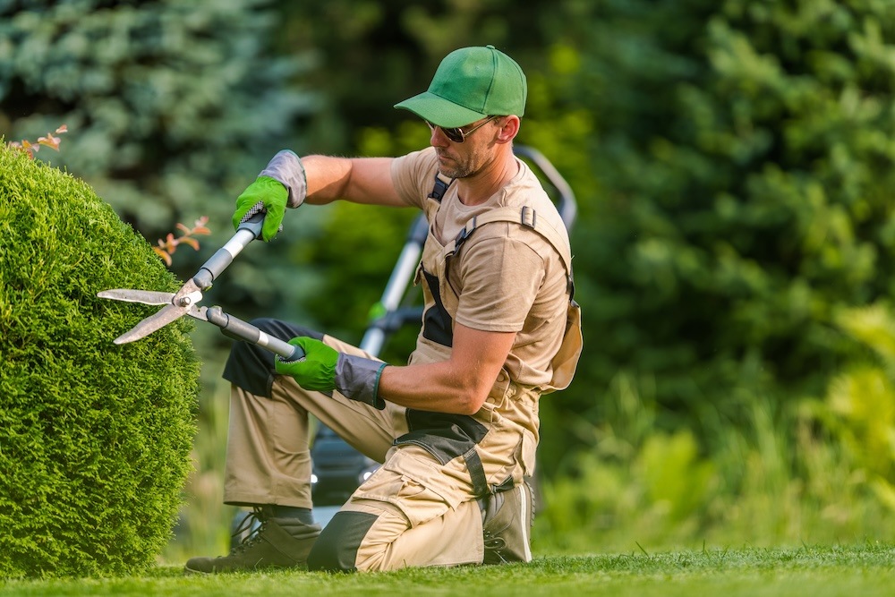Gardner working on trimming bushes and hedges